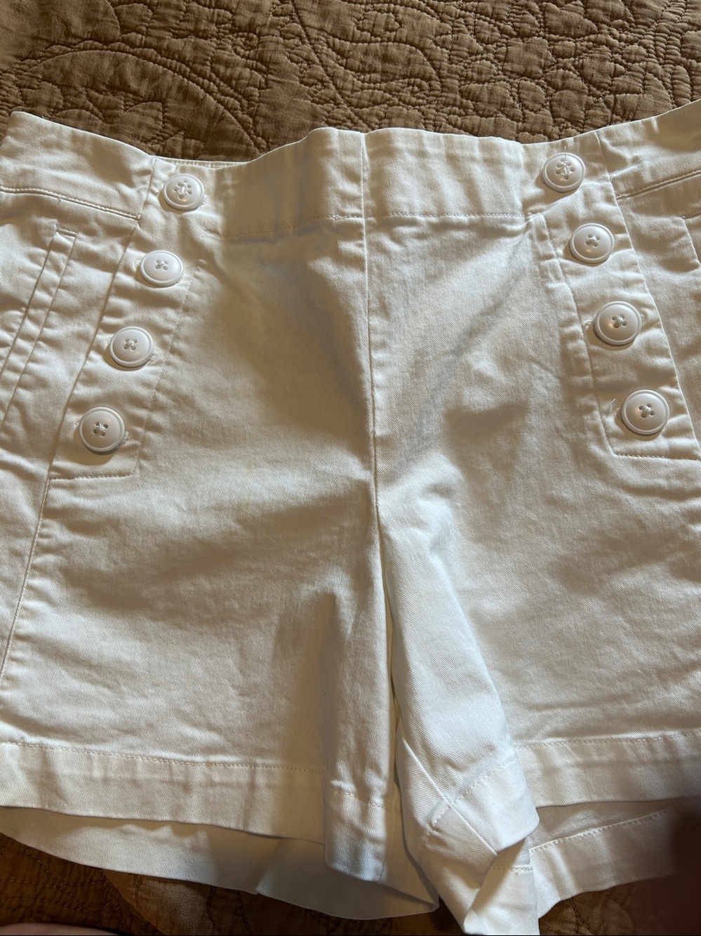 Loft Riviera Shorts - Picture 4 of 7